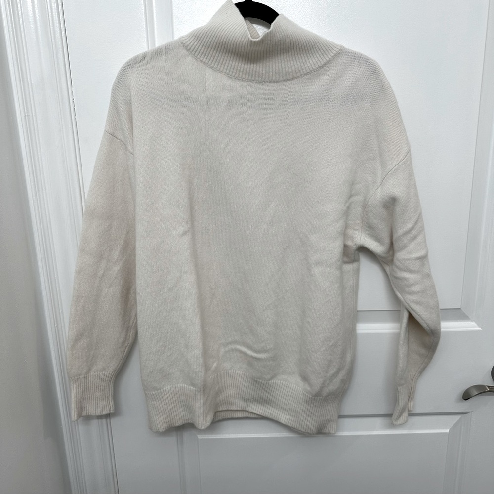 ARITZIA The Group by Babaton
STARGAZE TURTLENECK